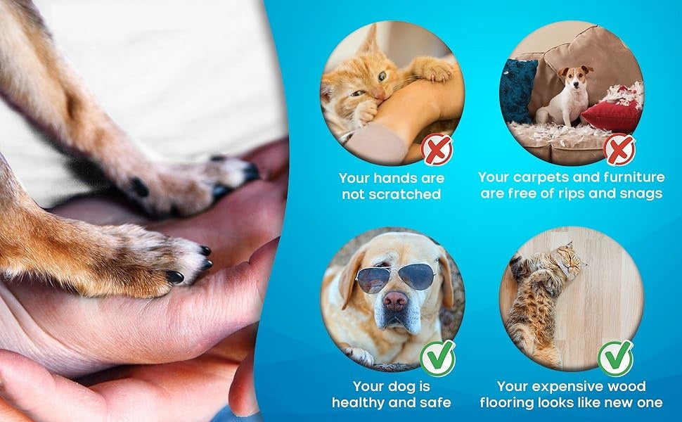 Rechargeable & Quiet Pet Nail Grinder with LED Light